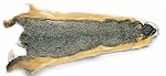 Fox Squirrel Whole Skin 