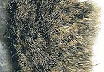 Hare Natural Fur