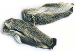 Hares Ears
