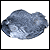 Jackdaw