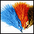 Marabou